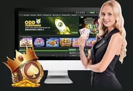 bet813